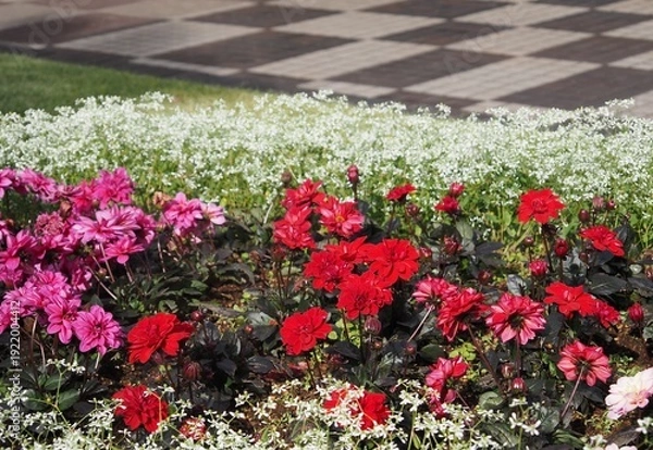 Obraz 花壇の草花