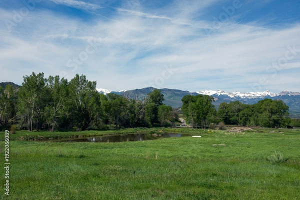 Obraz Spring Mountain Meadow with Pond and Forest Edge