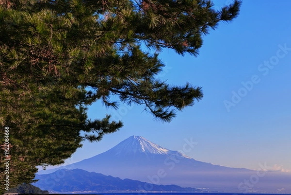 Obraz 三保の松原からの早朝の富士山