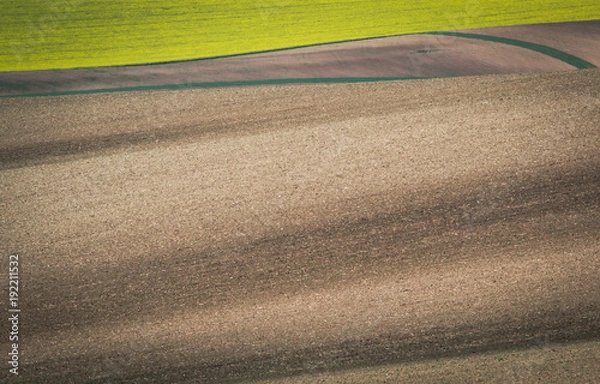 Obraz Gray spring field abstract background