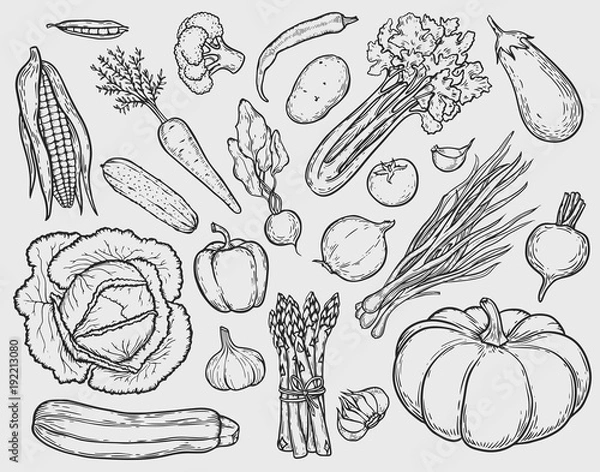 Obraz zestaw warzyw
