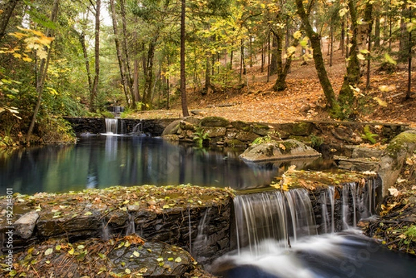 Obraz Waterfall in a forest