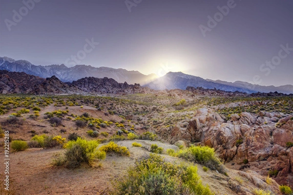 Obraz Eastern Sierra with Desert Landscaps