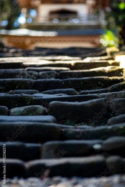 Obraz 26219鎌倉　浄智寺4　紅梅