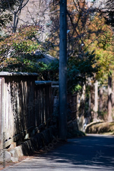 Obraz 26219鎌倉　北鎌倉8　板塀