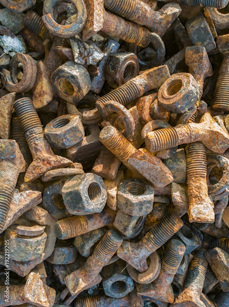 Obraz Old rusty screws on a pile