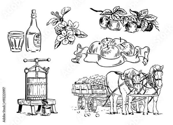 Obraz Ilustracja kreskówka gałęzi jabłoni, kwiatów, prasy do wyciskania, wóz konny, butelka ze szkłem, etykieta. Projekt dla cydru jabłkowego, soku i kosmetyków naturalnych. Ręcznie rysowane czarno-biała ilustracja