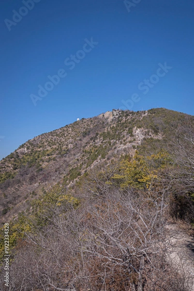 Obraz 高御位山（たかみくらやま）兵庫県加古川市と高砂市にまたがる標高304mの山のハイキング中に見える風景
