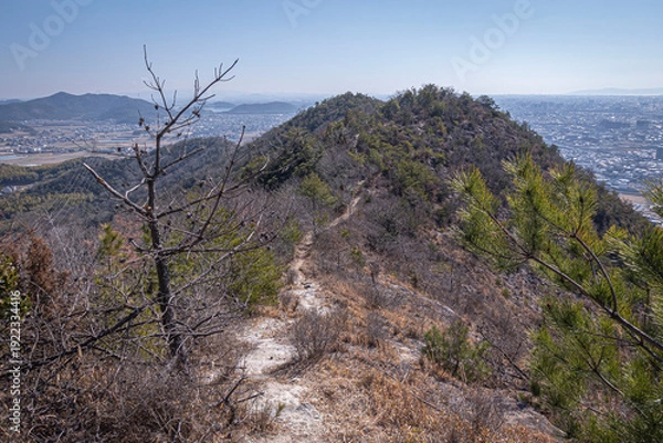 Obraz 高御位山（たかみくらやま）兵庫県加古川市と高砂市にまたがる標高304mの山のハイキング中に見える風景