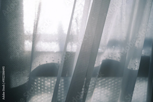 Obraz レースのカーテン