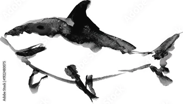 Obraz サメの筆書きイラスト素材