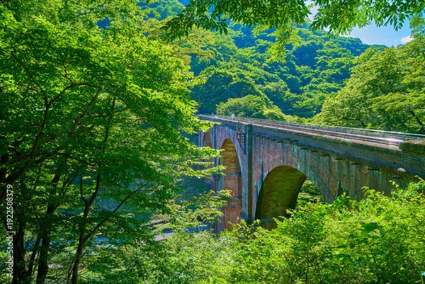 Obraz 群馬県安中市のめがね橋(碓氷第三橋梁)と新緑