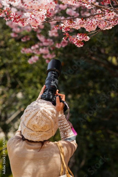 Obraz カメラマン