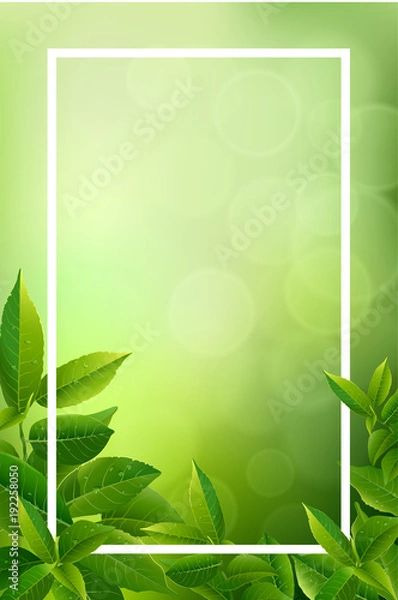 Obraz Green tea leaves vector nature background.