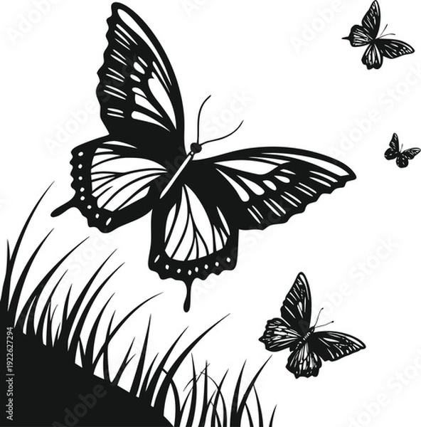 Obraz butterfly vector illustration