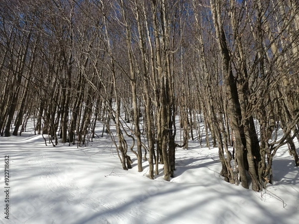 Obraz Appennino emiliano