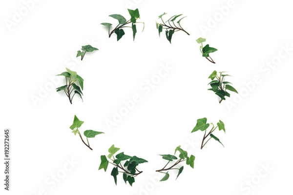 Obraz Ivy Wreath On White Background