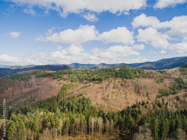 Fototapeta arial view of majestic landscape with pine forest and cloudy sky, Germany