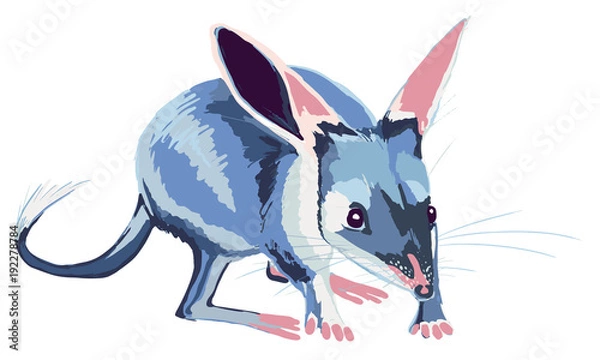 Obraz Bilby
