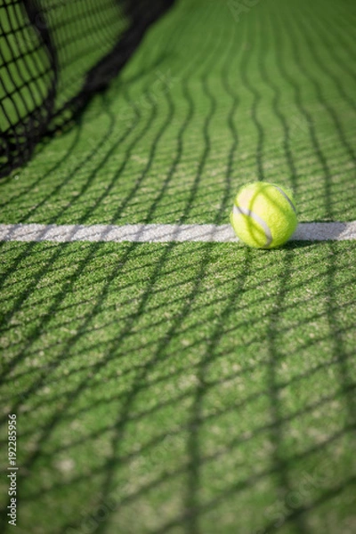 Obraz Paddle tennis court and net with a ball