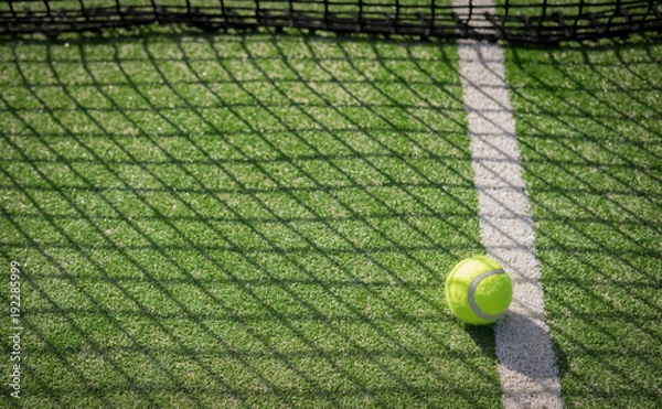 Obraz Paddle tennis court and net with a ball