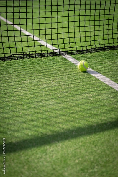 Obraz Paddle tennis court and net with a ball