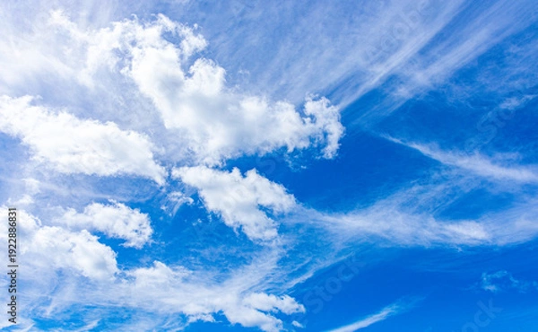 Obraz céu azul com nuvens brancas