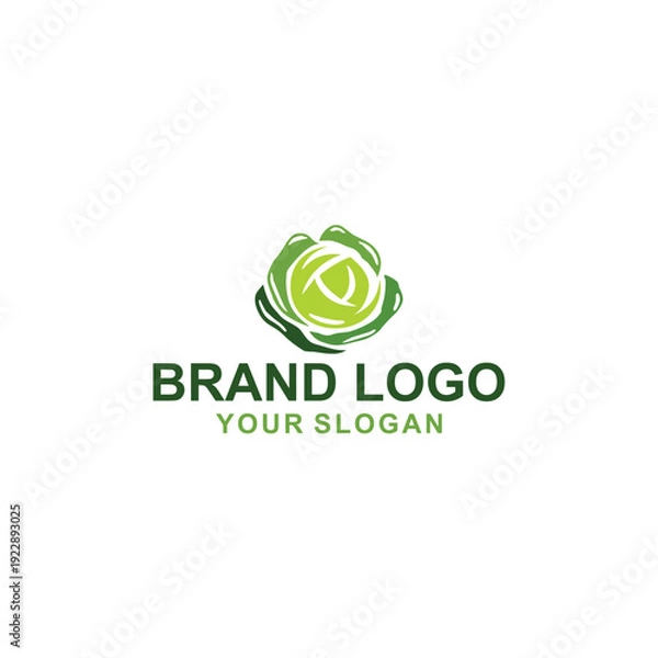 Obraz cabbage vegetables logo vector illustration