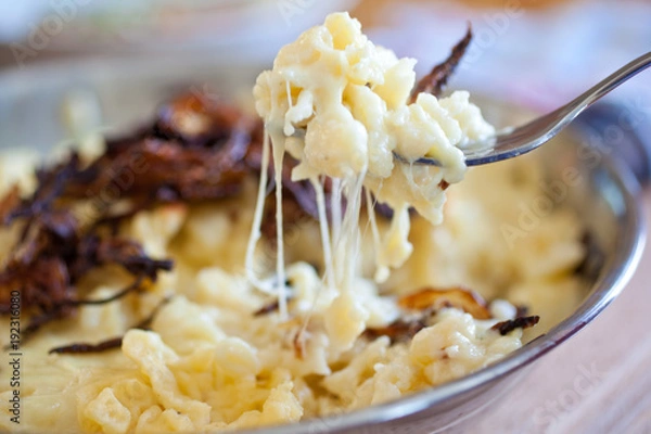 Obraz Pinzgauer Kasnockn