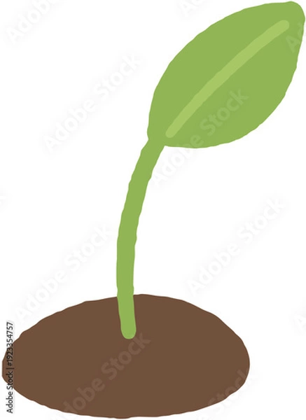 Obraz Growing Green Sprouts