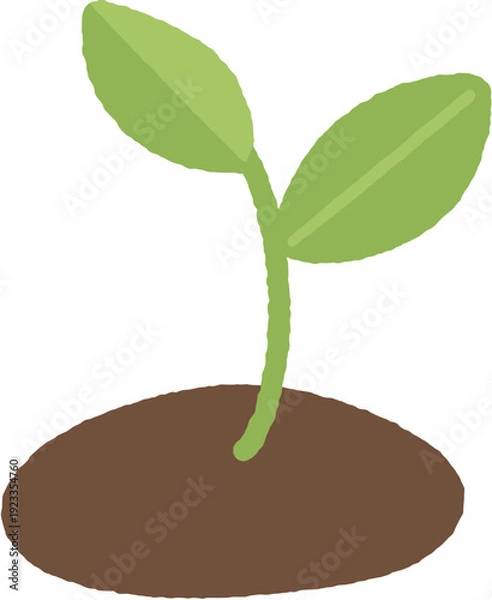 Obraz Growing Green Sprouts