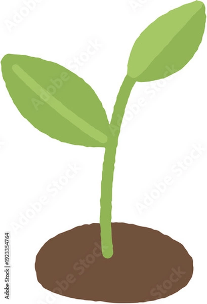 Obraz Growing Green Sprouts