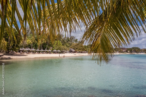 Obraz Plage mauricienne 