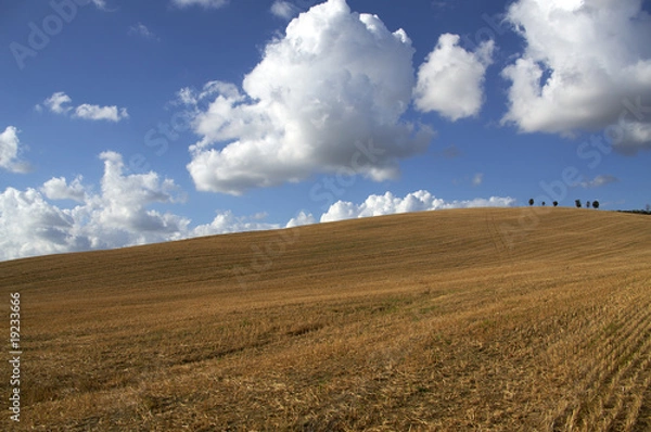 Obraz Tuscany Landscape