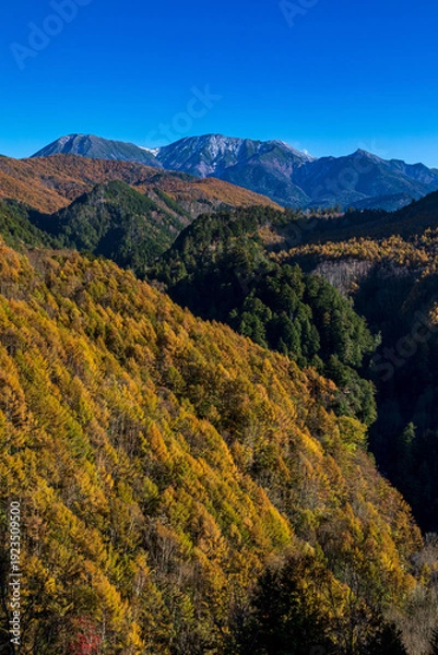 Obraz 秋の御嶽山　岐阜県 下呂市 小坂町 御嶽パノラマラインから
