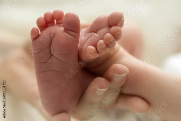 Obraz Legs newborn in parents hand
