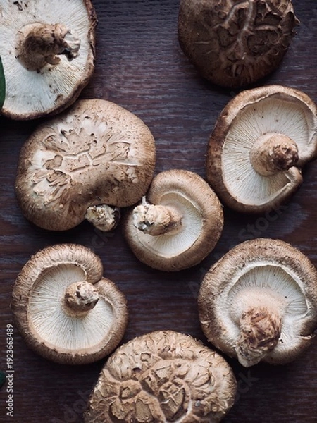 Obraz 신선한 유기농 표고버섯