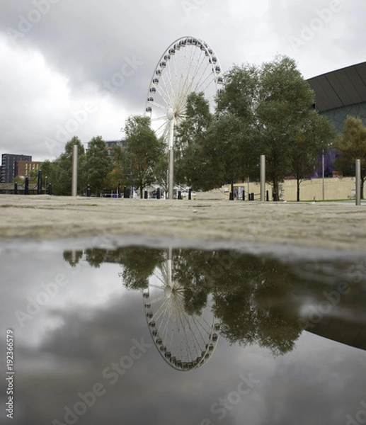 Fototapeta Reflection