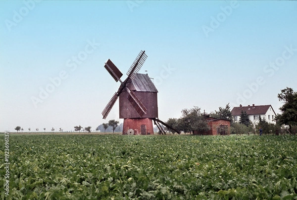 Obraz Bockwindmühle