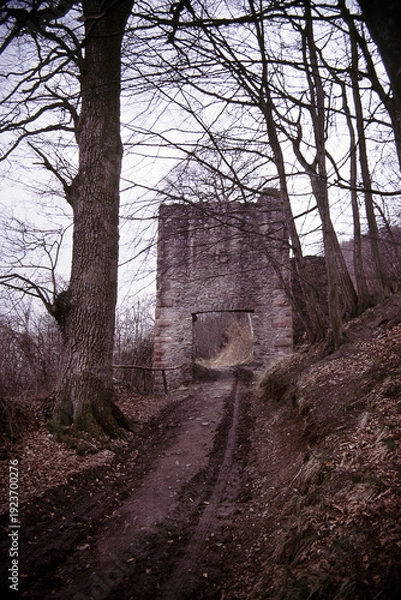 Obraz Burg Rodenstein