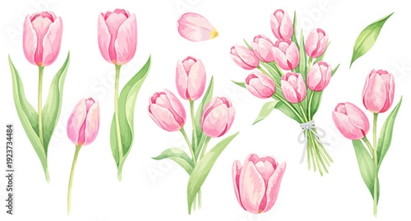 Fototapeta ピンクのチューリップのイラストパーツセット（花束・単体・花びら・リボン）,春の花,母の日,お祝い
