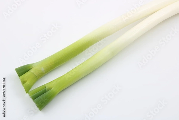 Obraz キッチンに欠かせない万能野菜の長ネギ