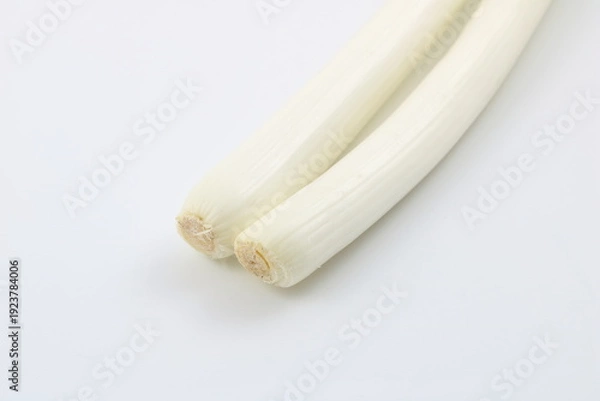 Obraz シンプルな構成で使い勝手の良い長ネギ