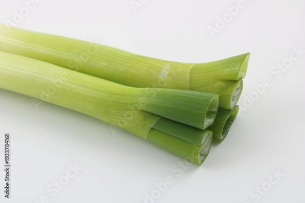 Obraz 新鮮な長ネギの断面が美しい白バック写真