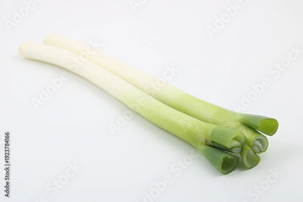 Obraz 白背景に映える鮮やかな緑色の長ネギの葉