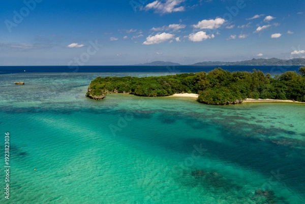 Obraz 石垣島川平湾のマジパナリ（ドローンによる空撮）