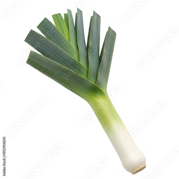 Obraz Fresh leek vegetable isolated on white background