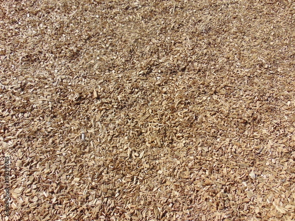 Obraz Sawdust Wood Chips