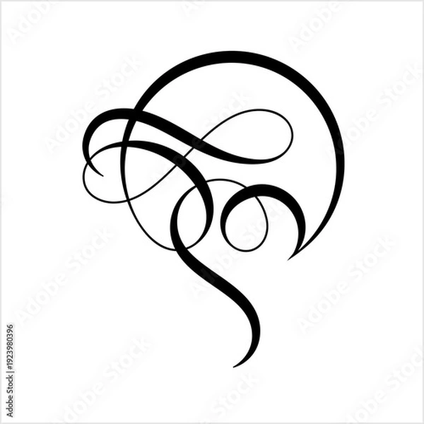 Obraz Calligraphic Flourish Ornament