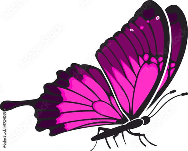 Obraz Butterfly